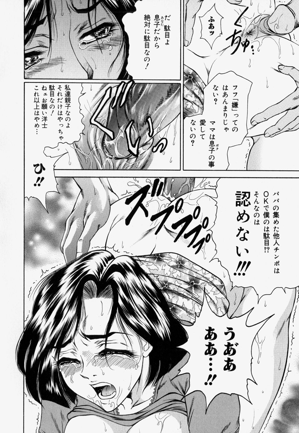 [飛野俊之] 家庭内凌辱かていないりょうじょく