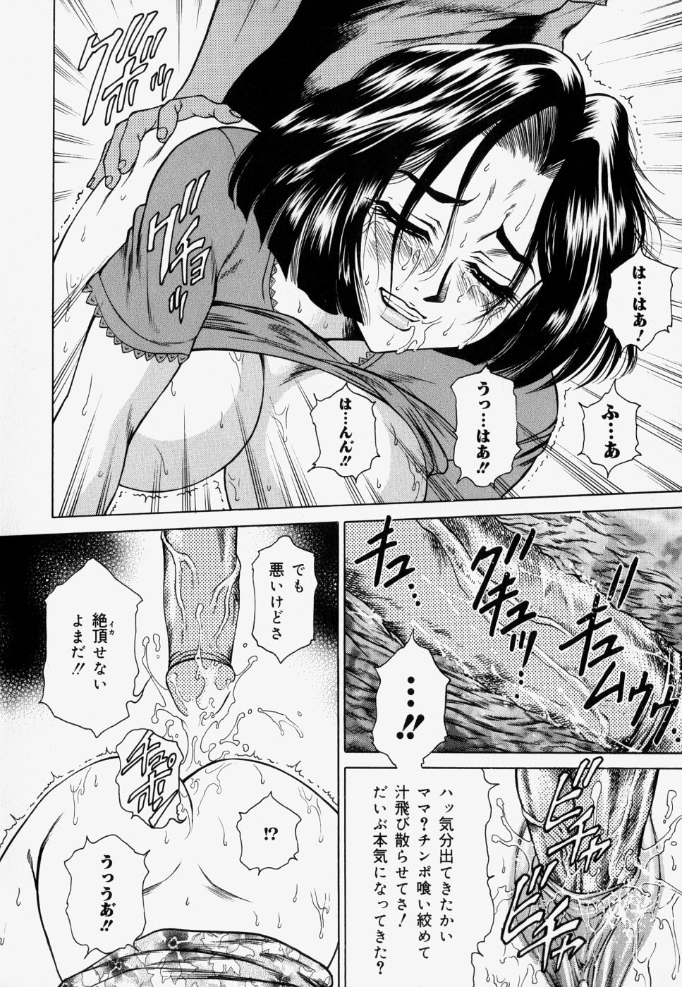 [飛野俊之] 家庭内凌辱かていないりょうじょく