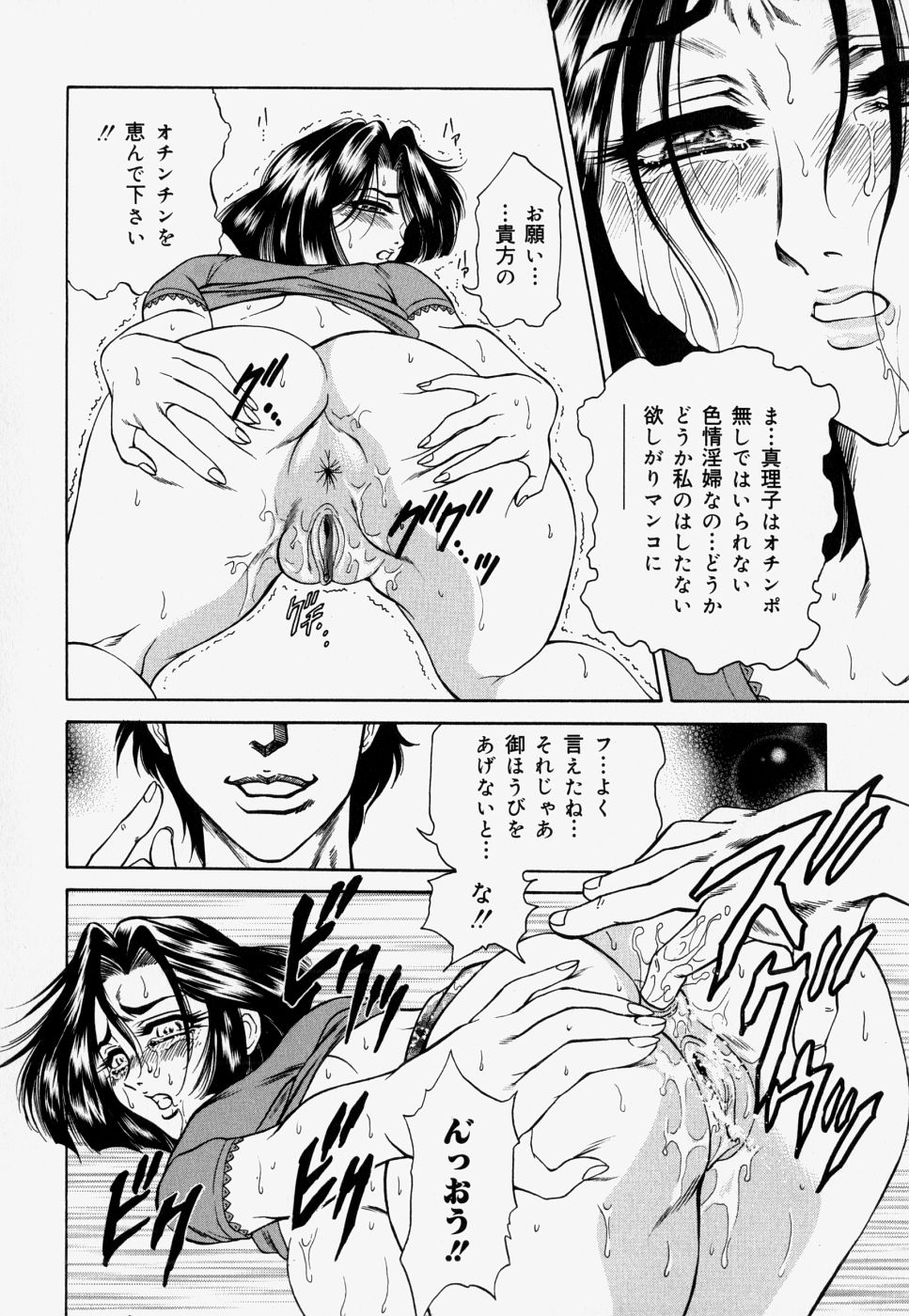 [飛野俊之] 家庭内凌辱かていないりょうじょく