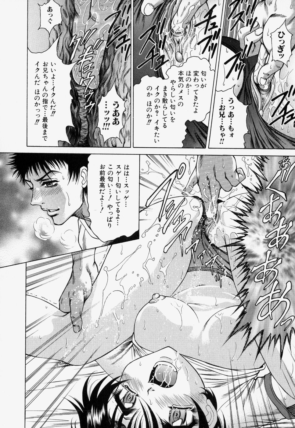 [飛野俊之] 家庭内凌辱かていないりょうじょく