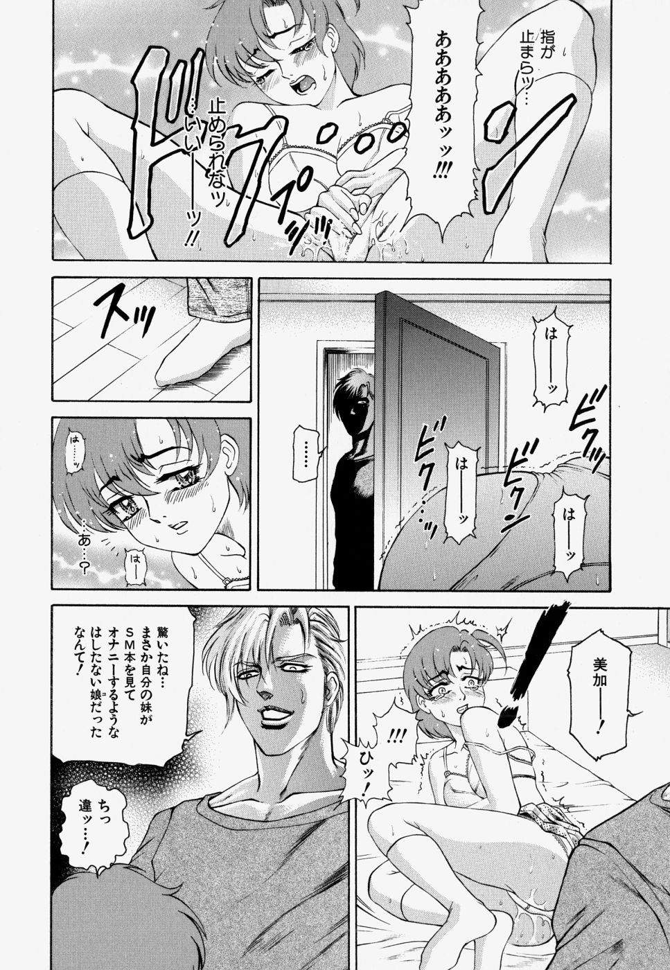 [飛野俊之] 家庭内凌辱かていないりょうじょく