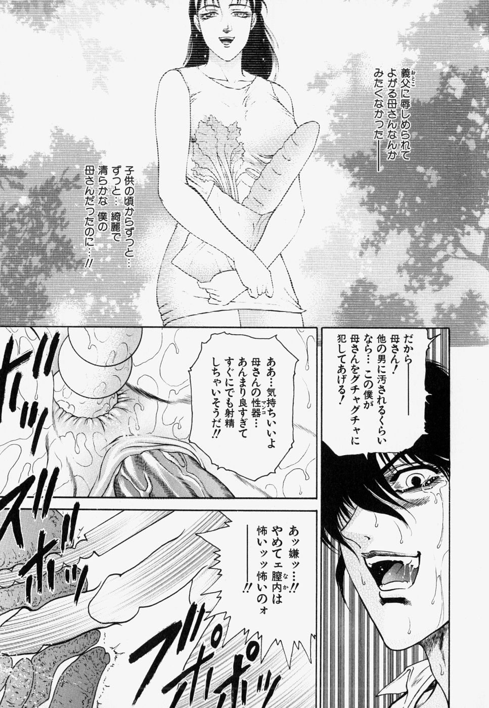 [飛野俊之] 家庭内凌辱かていないりょうじょく