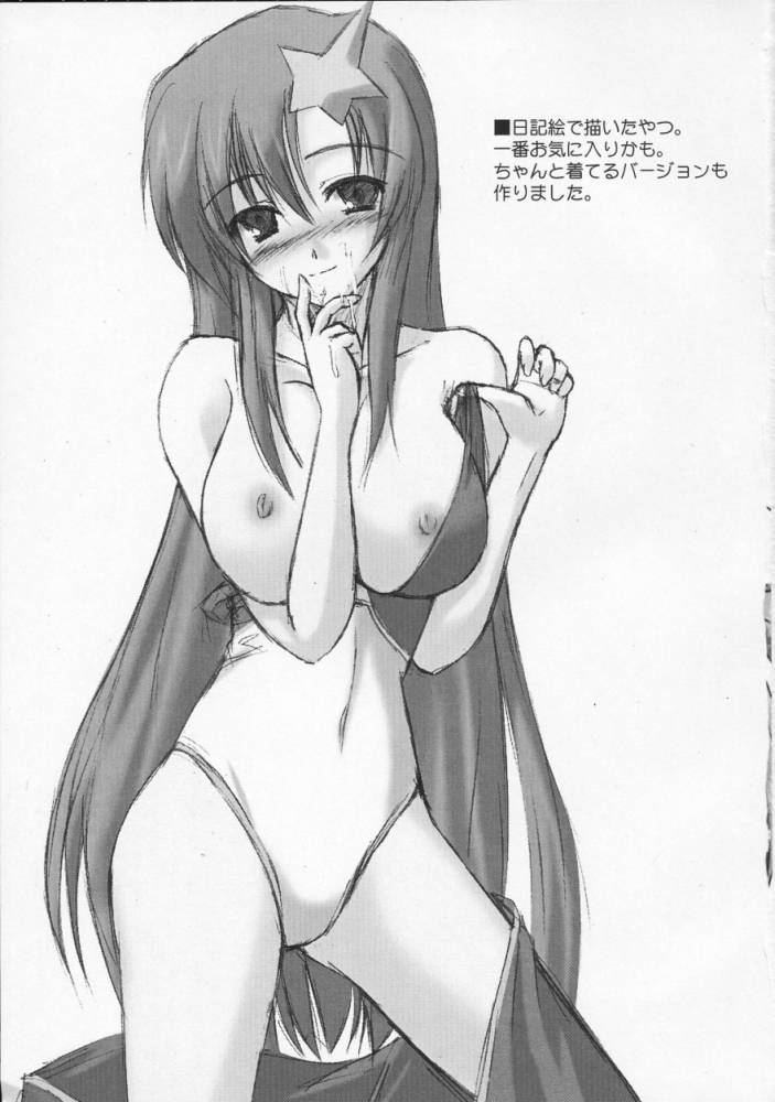 [雷電屋敷] ミーアスペシャル (機動戦士ガンダムSEED DESTINY)