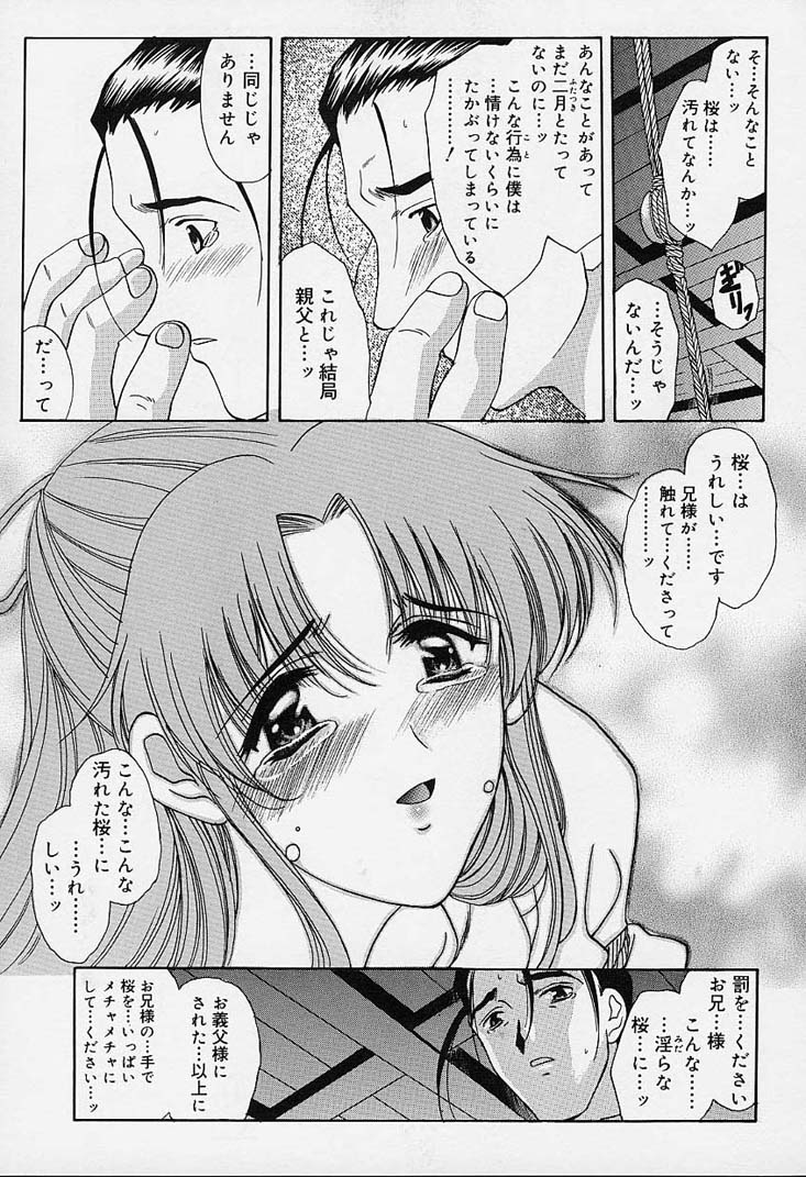 [あまゆみ] さくらさくら