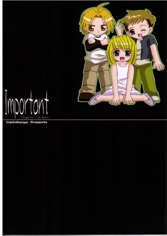 (SC23) [ゆきみ本舗 (あさのゆきの)] Important (鋼の錬金術師)