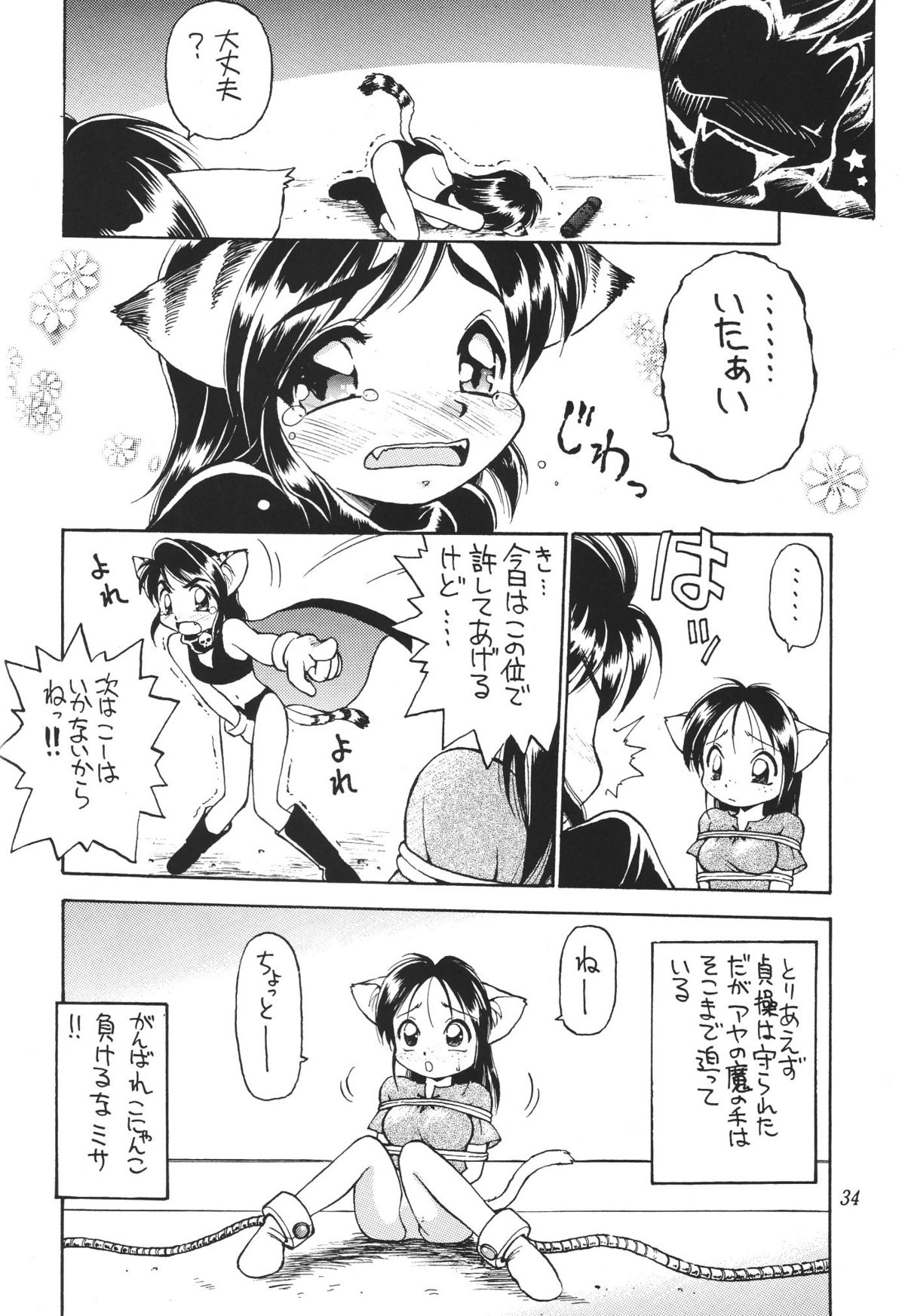 (C54) [ででぽっぽ (えびふらい)] 常夏ねこ日記