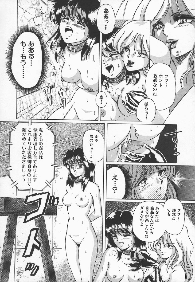 [Dr.ぴょんR] 少女奴隷