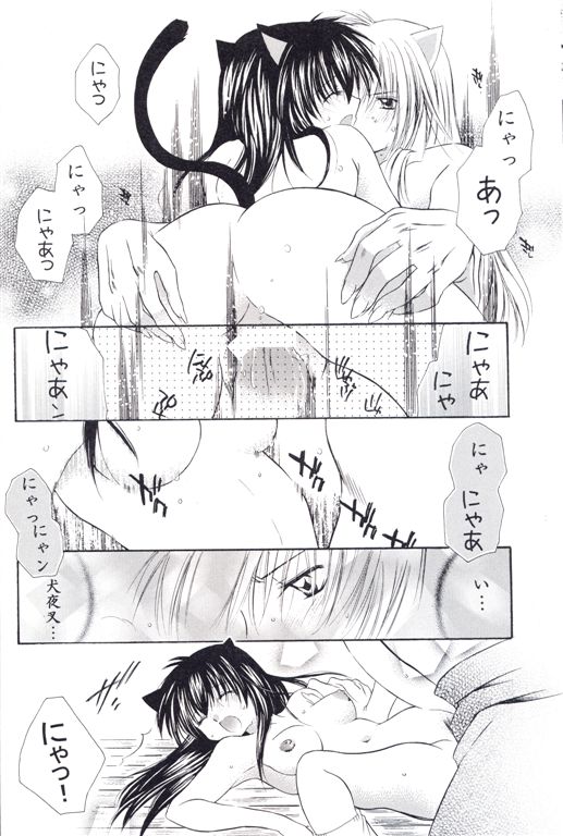 [桜館 (芹桜さくら)] ねこもえ (犬夜叉)