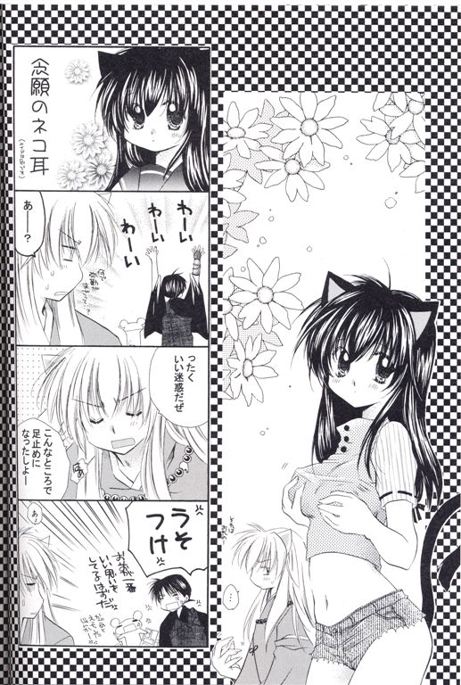 [桜館 (芹桜さくら)] ねこもえ (犬夜叉)