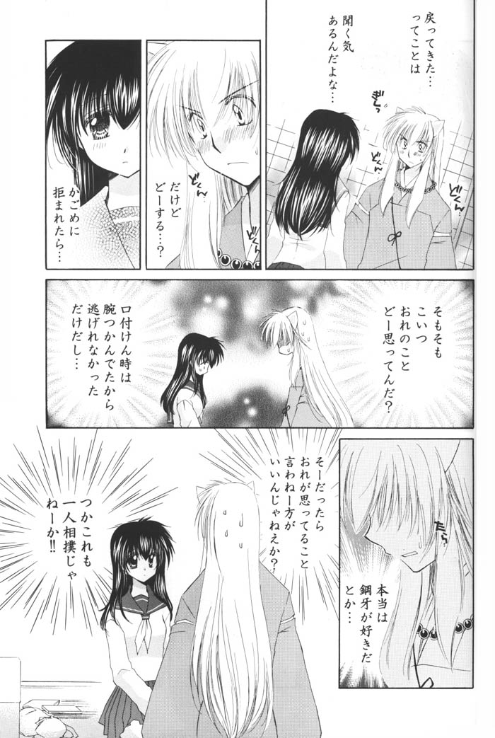 (C69) [桜館 (芹桜さくら)] 星の降り積もる夜に (犬夜叉)