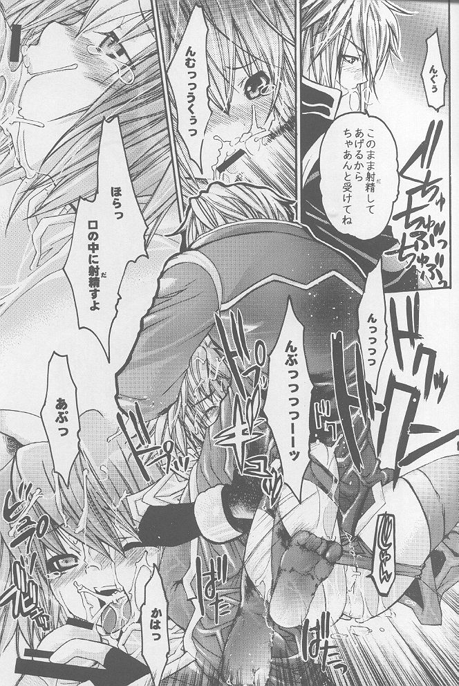 (サンクリ20) [西南西ニ輝ケル星 (森野ぱぴこ)] らぐなろく夜話 Level.1 (ラグナロクオンライン)