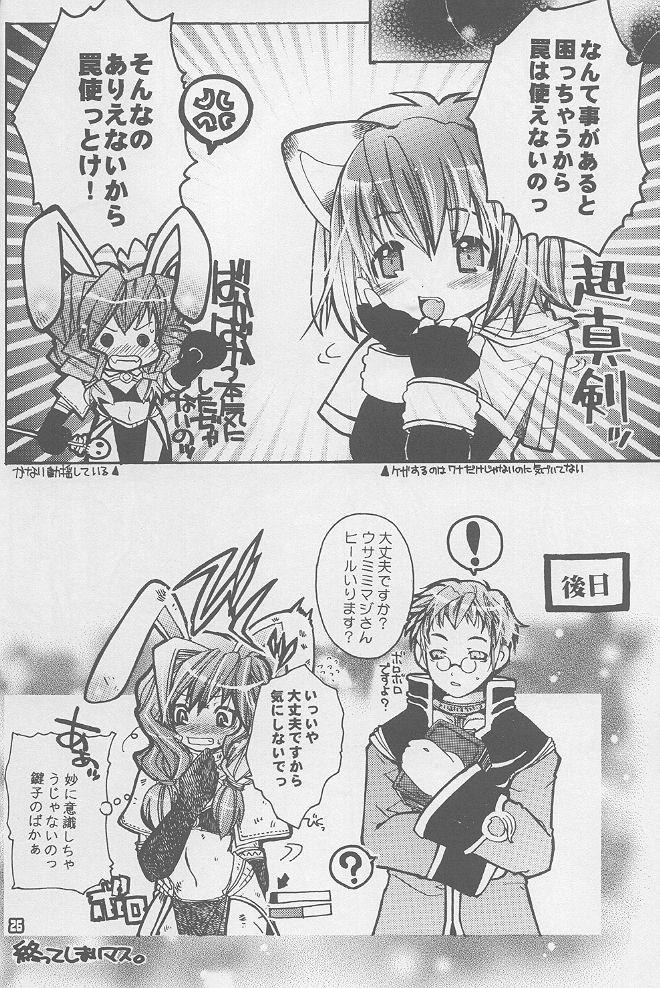(サンクリ20) [西南西ニ輝ケル星 (森野ぱぴこ)] らぐなろく夜話 Level.1 (ラグナロクオンライン)