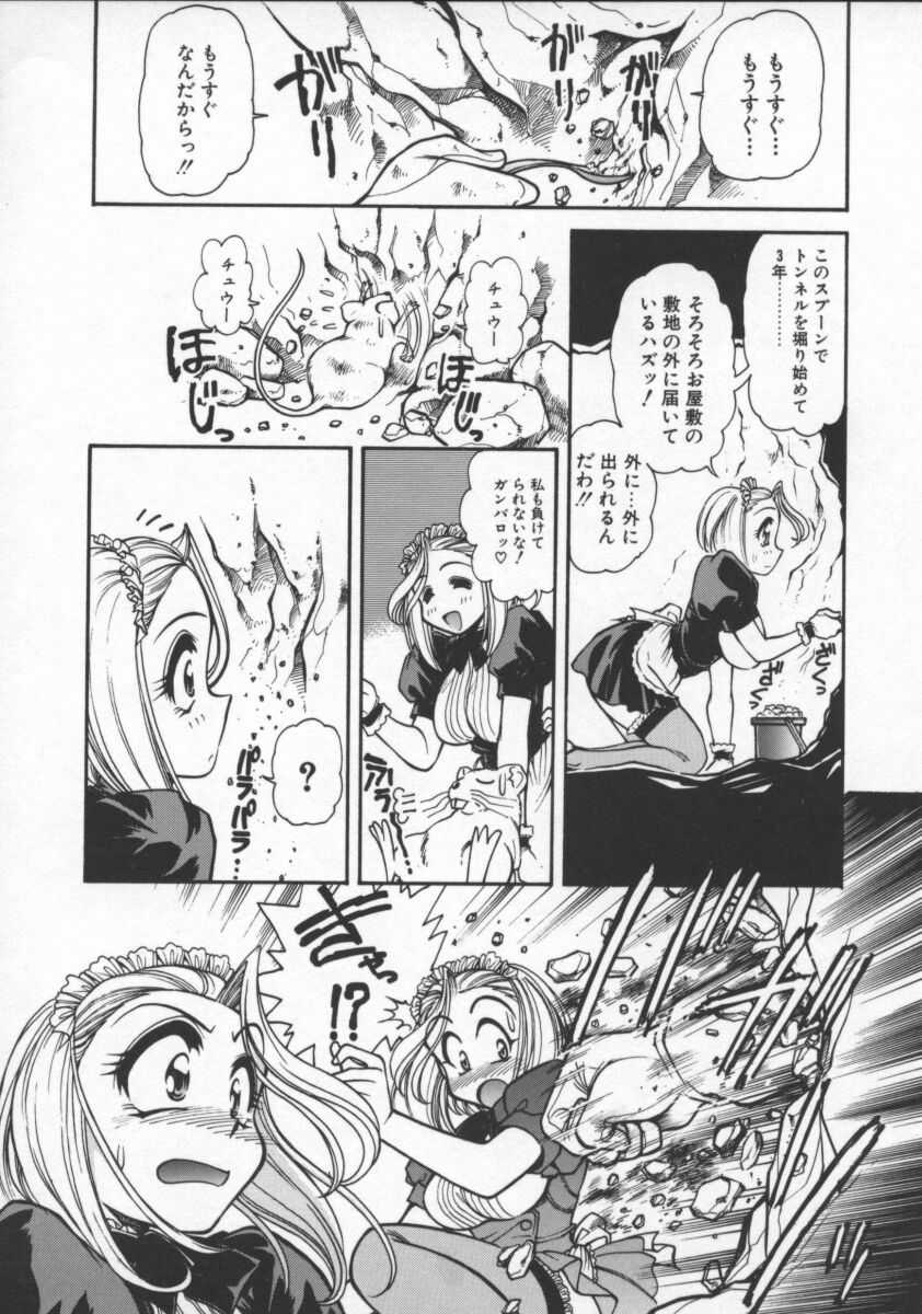 [マーシーラビット] プレジャーパラダイス