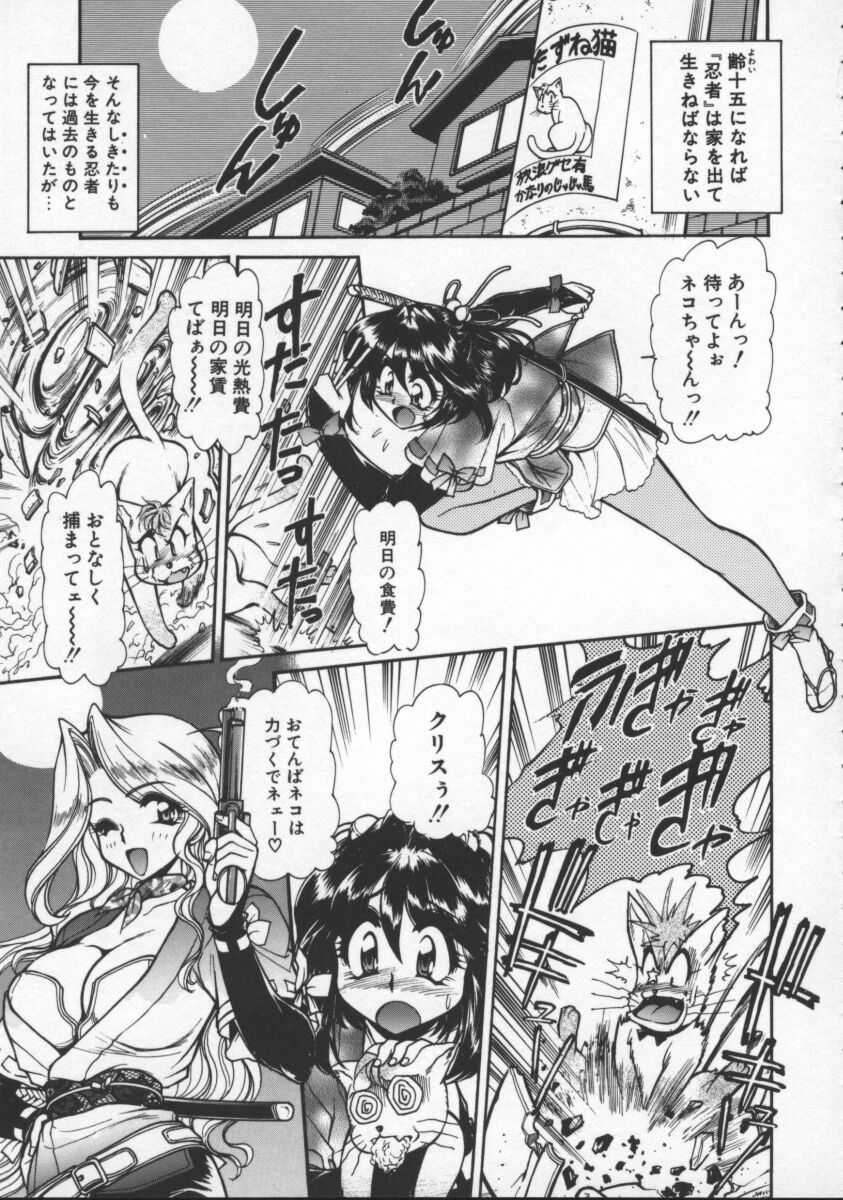 [マーシーラビット] プレジャーパラダイス