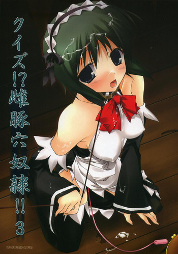 (C72) [とりあえず(仮) (とろろ)] クイズ!? 雌豚穴奴隷!! 3 (クイズマジックアカデミー)