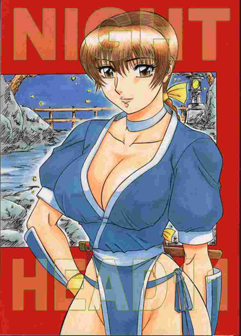 (Cレヴォ27) [サークル太平天国 (改多丸)] NIGHT HEAD 11 (デッド・オア・アライブ)