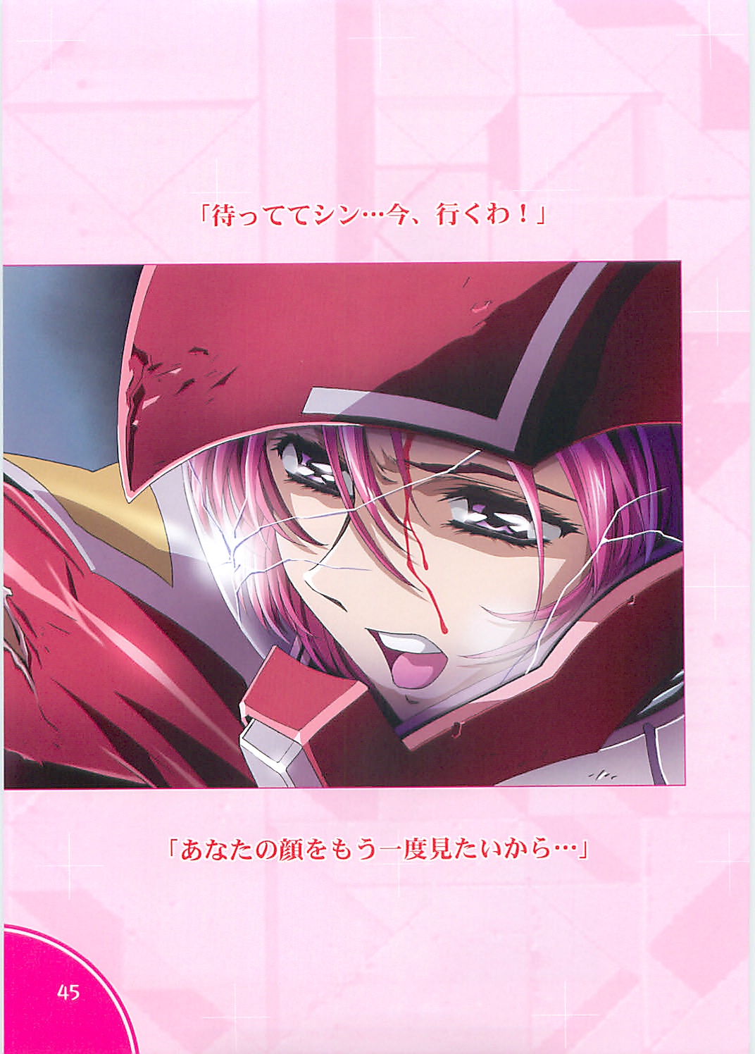 (C70)[片励会 (かわらじま晃)] SEED ANOTHER CENTURY D.E. 2 (機動戦士ガンダムSEED DESTINY)