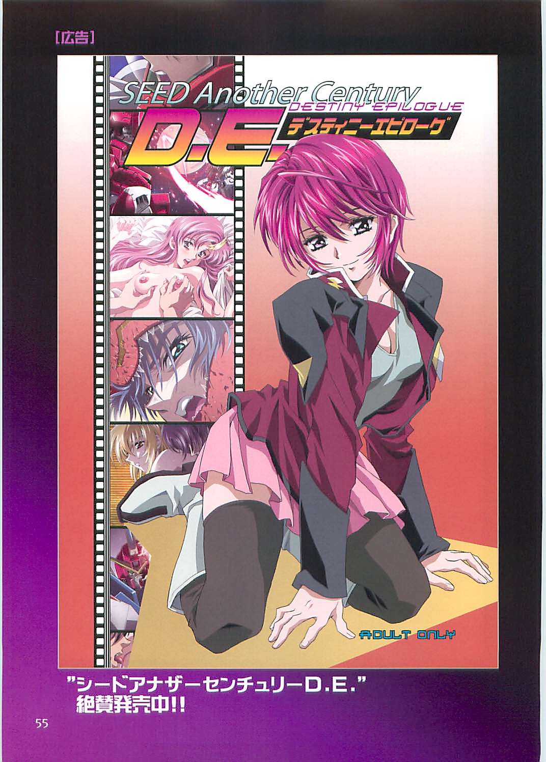 (C70)[片励会 (かわらじま晃)] SEED ANOTHER CENTURY D.E. 2 (機動戦士ガンダムSEED DESTINY)