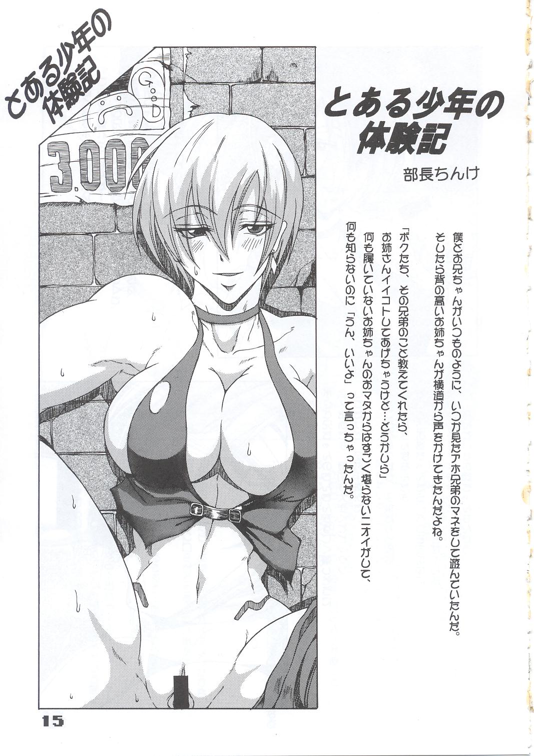 (C63) [SHD (部長ちんけ, ひろみ)] 排除忍法帳 10 (レイジ・オブ・ザ・ドラゴンズ)