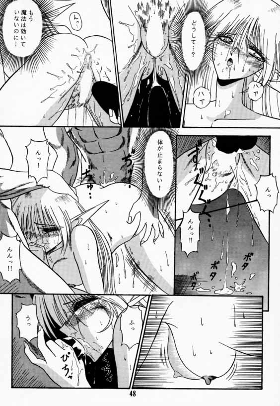 (C42) [わくわく動物園 (よろず)] エルフの娘 (ロードス島戦記)