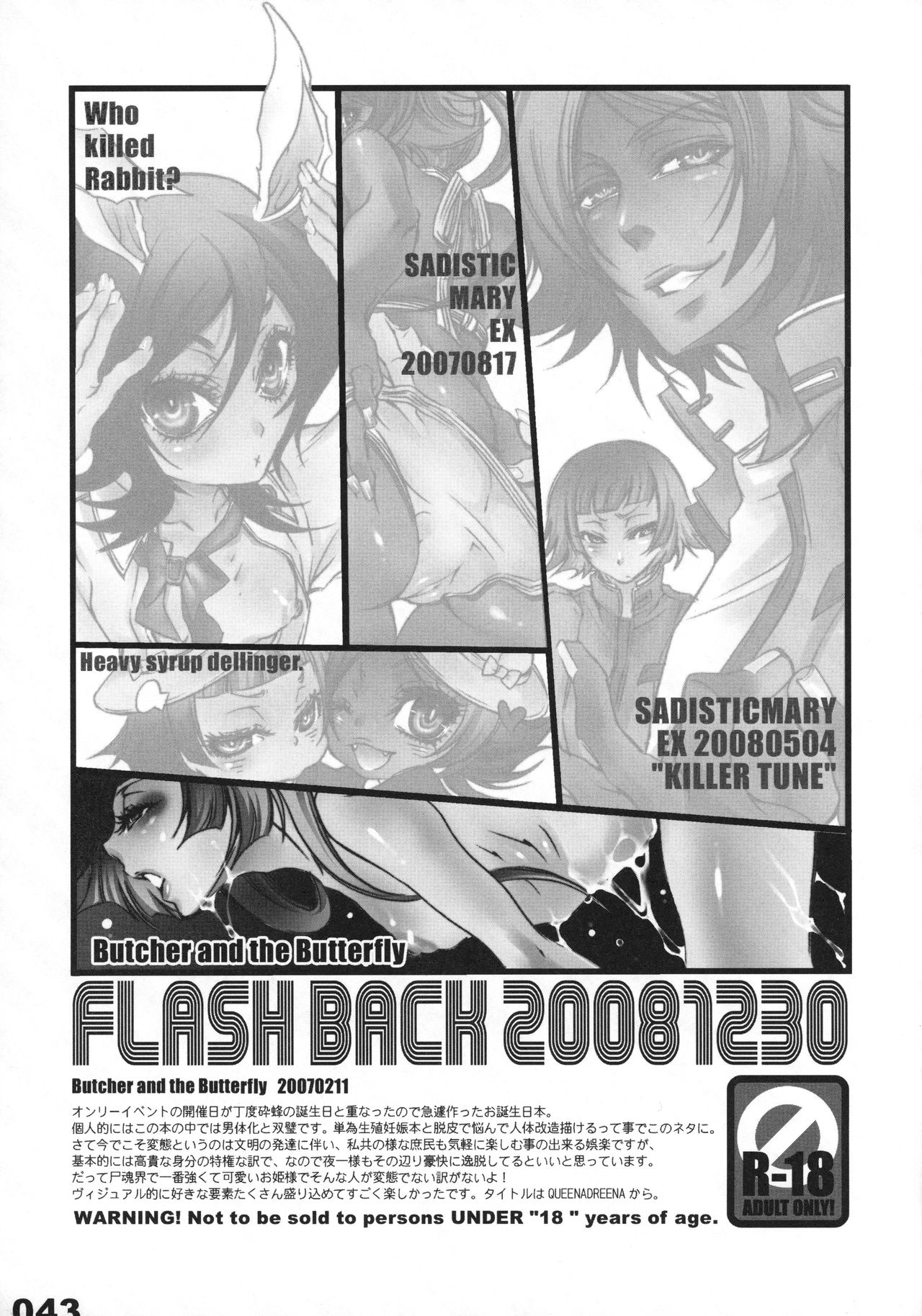 (C75) [Sadistic Mary (服部ミツカ)] FLASH BACK 20081230 (ブリーチ)