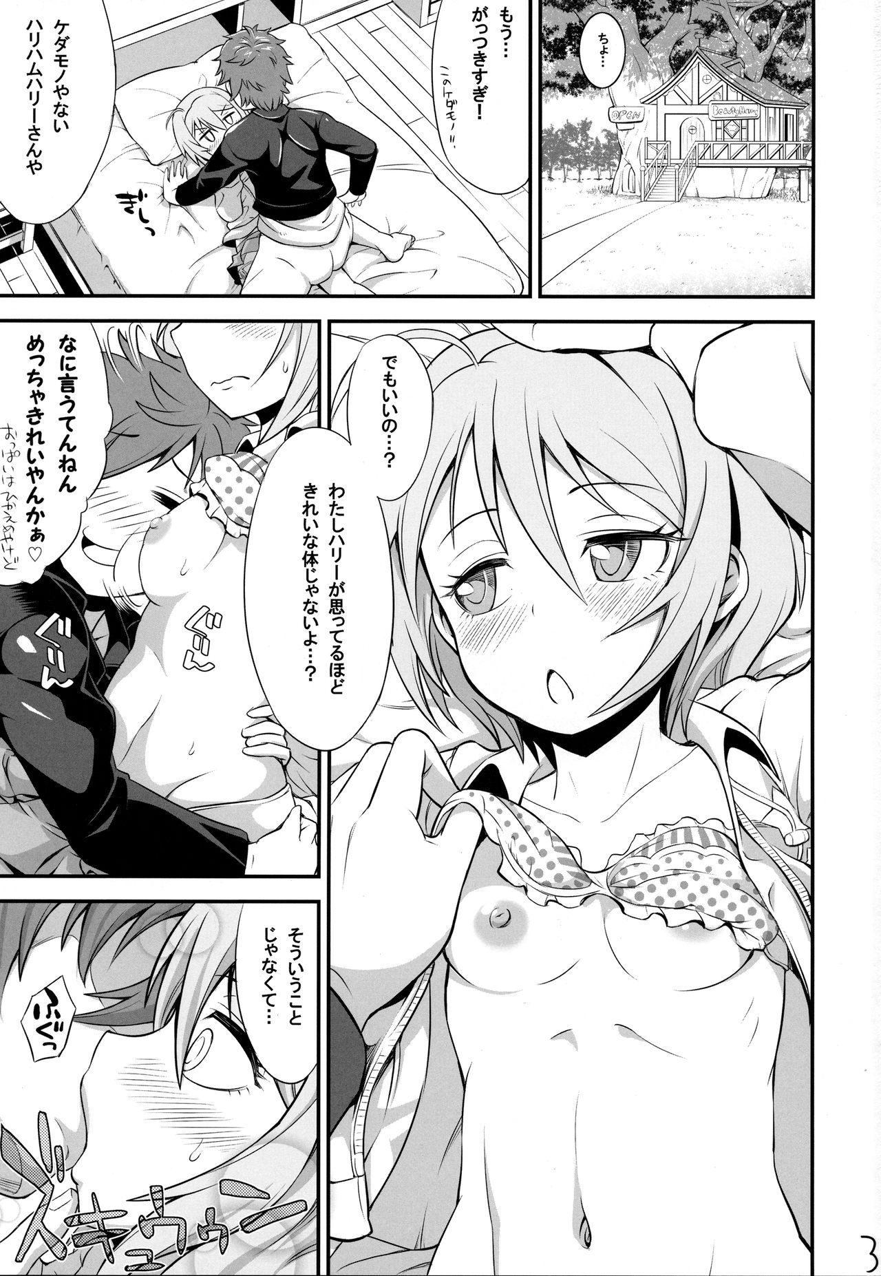 (C94) [そーま党 (そーま)] はりホマるー (HUGっと!プリキュア)