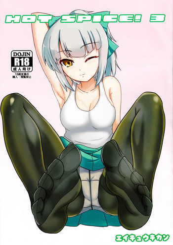 (C90) [永久機関 (とわみん)] HOT SPICE! 3 (艦隊これくしょん -艦これ-)