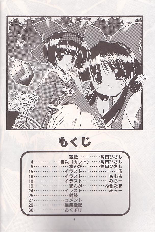 (C54) [ちくわの気持ち (角田ひさし、ねぎたま)] PON-MENOKO 伍 激闘編 (サムライスピリッツ)