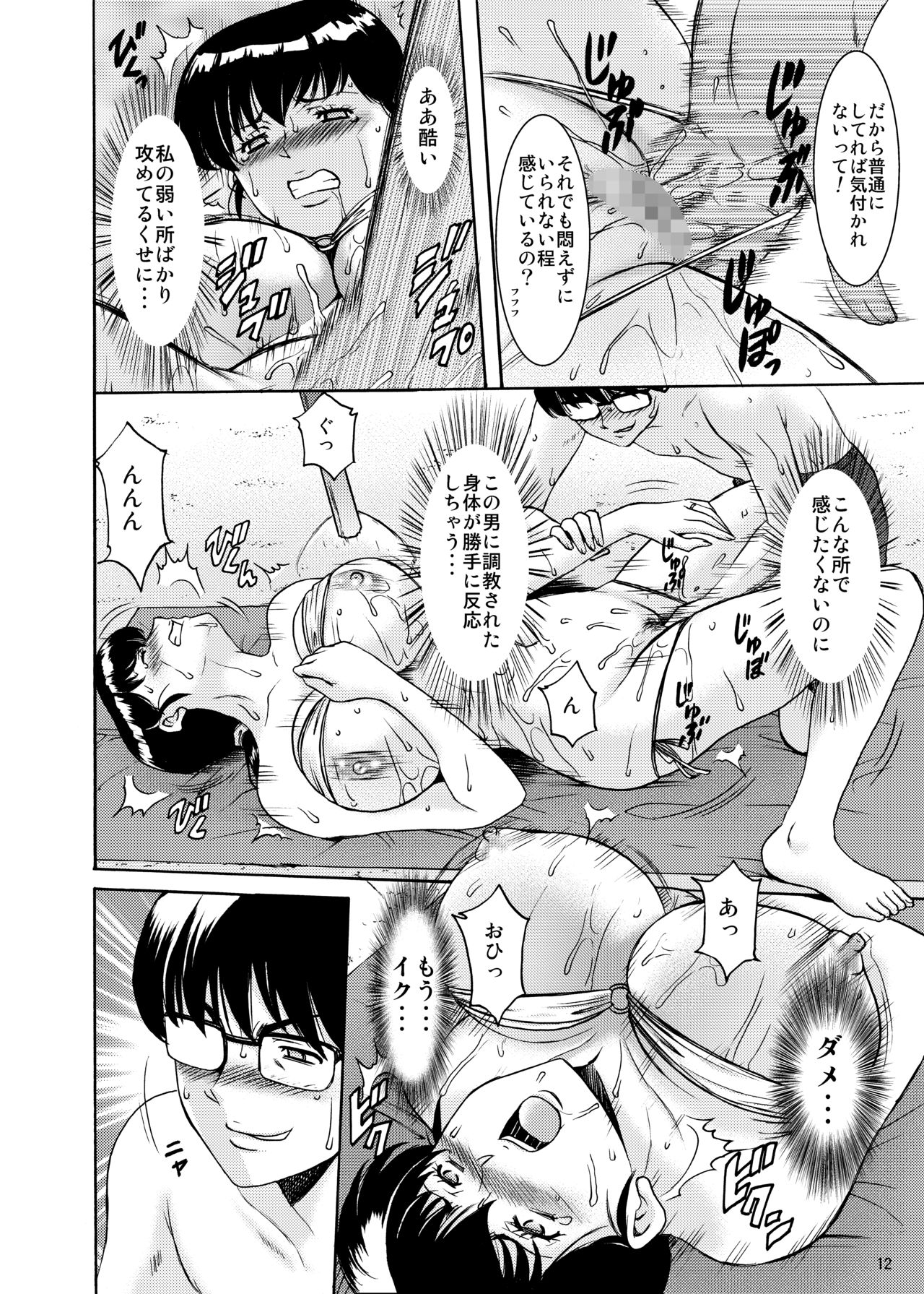 (C94) [昇竜安井会 (星野竜一)] 人妻管理人響子 番外編 (めぞん一刻)