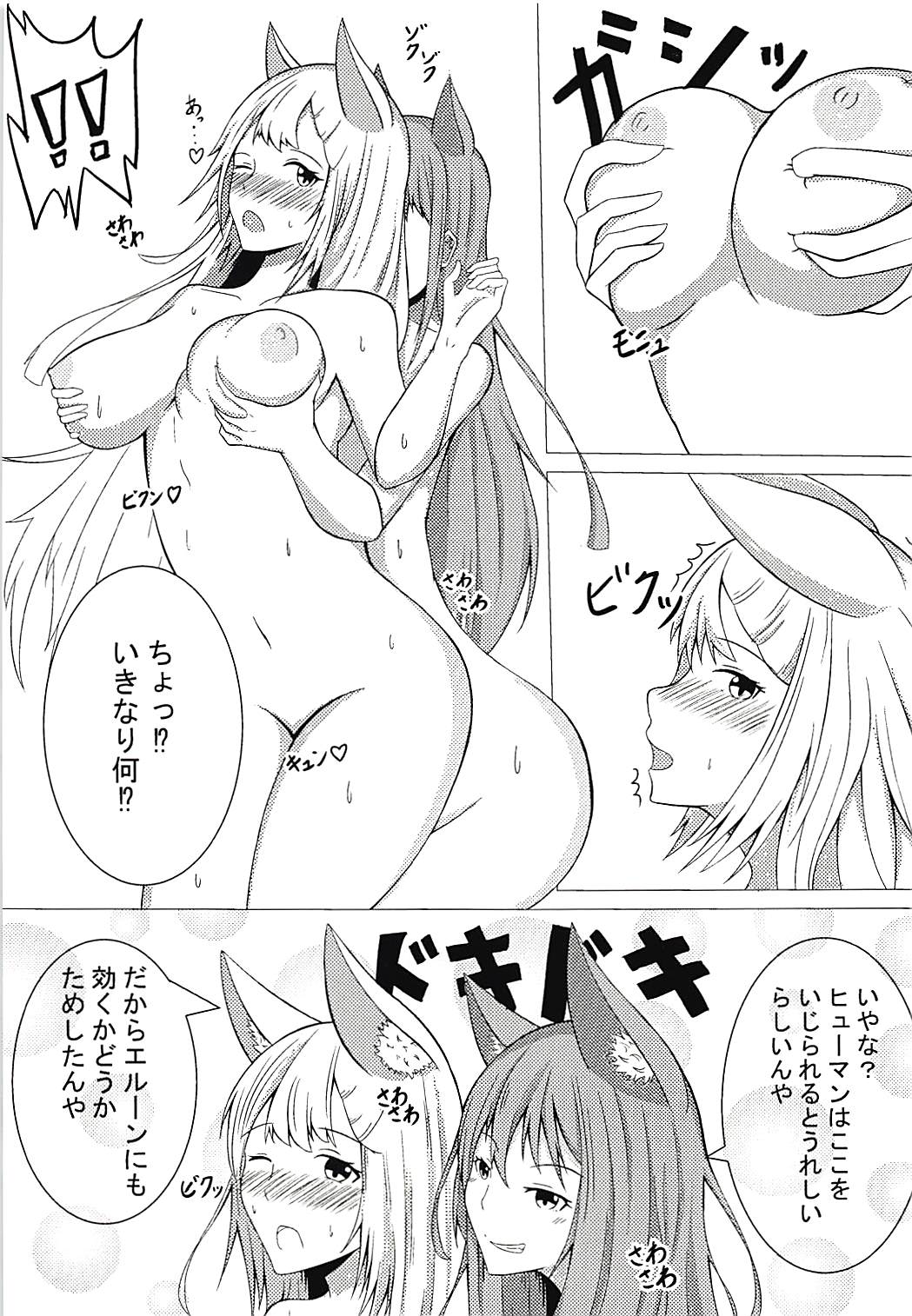(C94) [三食豆腐 (なぎ)] エルーンのエッチな実験 (グランブルーファンタジー)