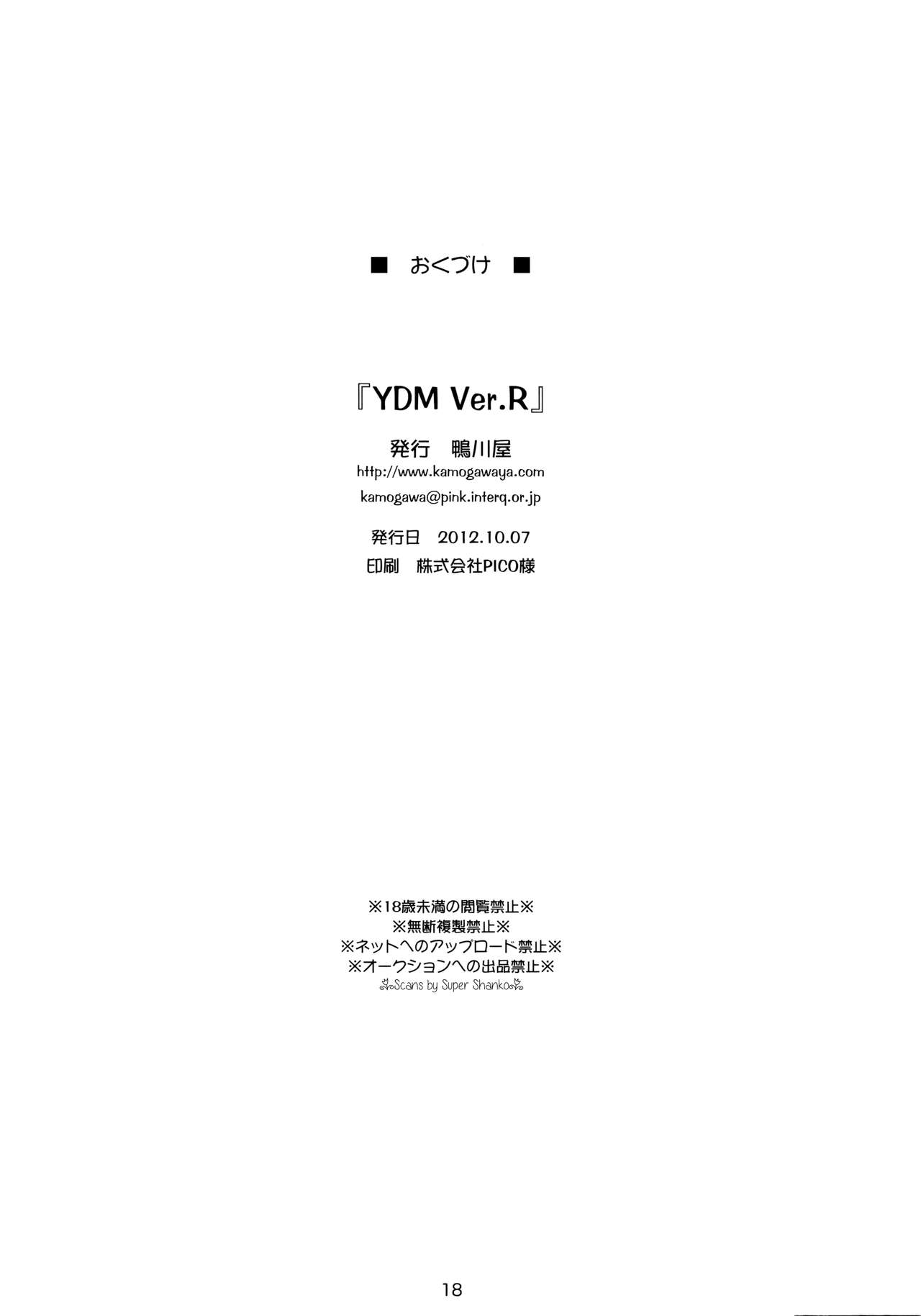 (リリカルマジカル14) [鴨川屋 (鴨川たぬき)] Y.D.M Ver.R Limited Edition (魔法少女リリカルなのはStrikerS)