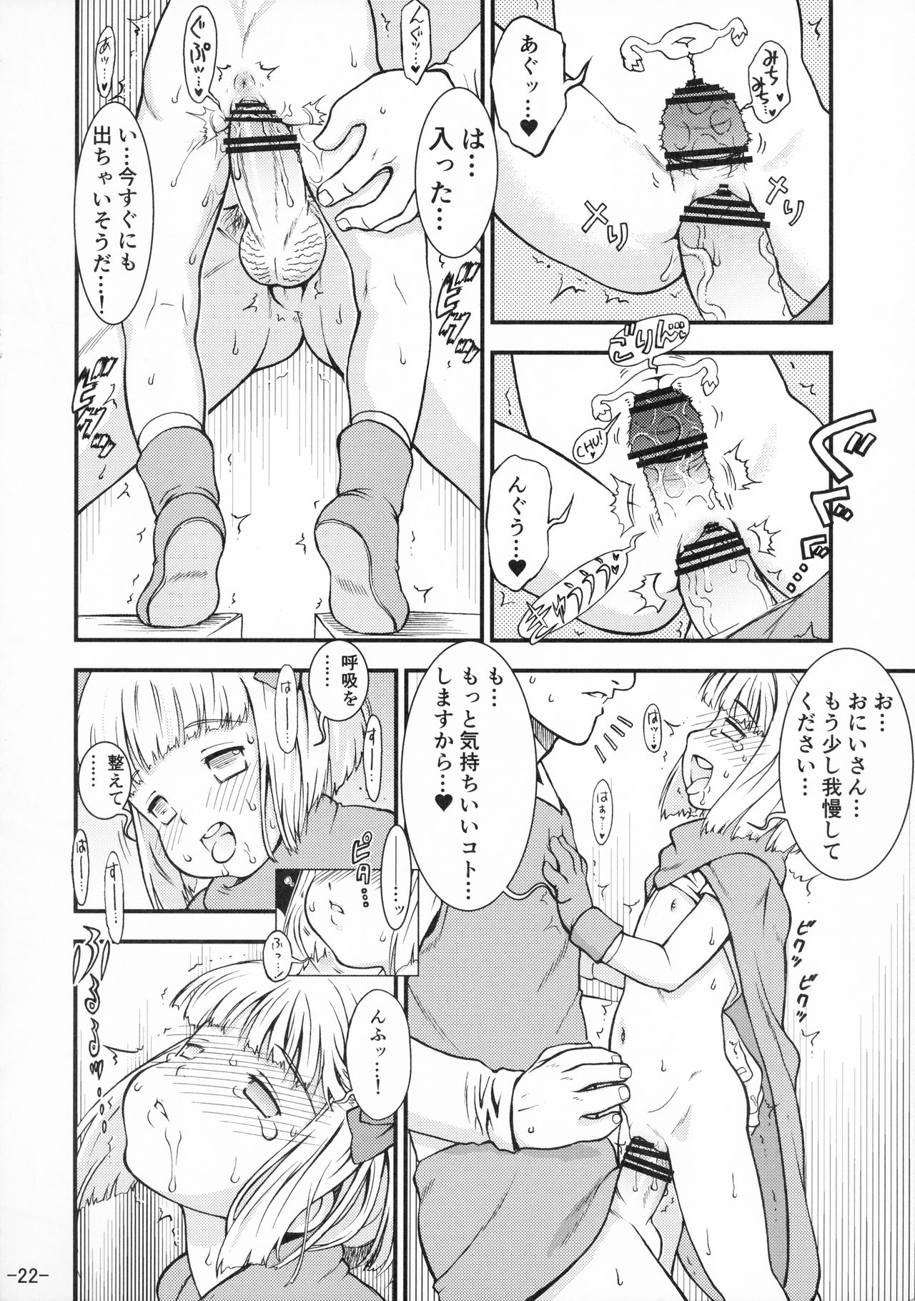 (C90) [遺伝子の舟 (南条飛鳥)] タバサちゃんが予約を開始しました! (ドラゴンクエストV)