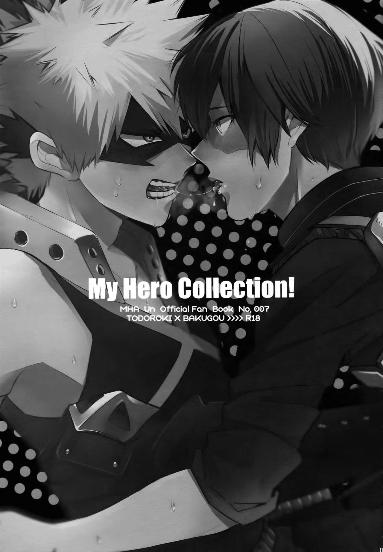 (C92) [APOLLO (JIRO)] My Hero Collection! (僕のヒーローアカデミア)