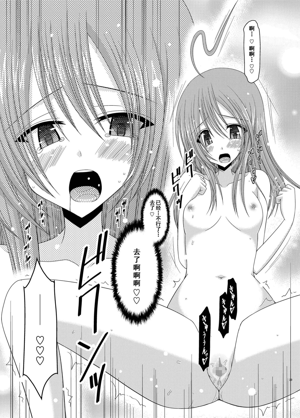 [valssu (茶琉)] 露出少女日記総集編2冊目 [中国翻訳] [DL版]