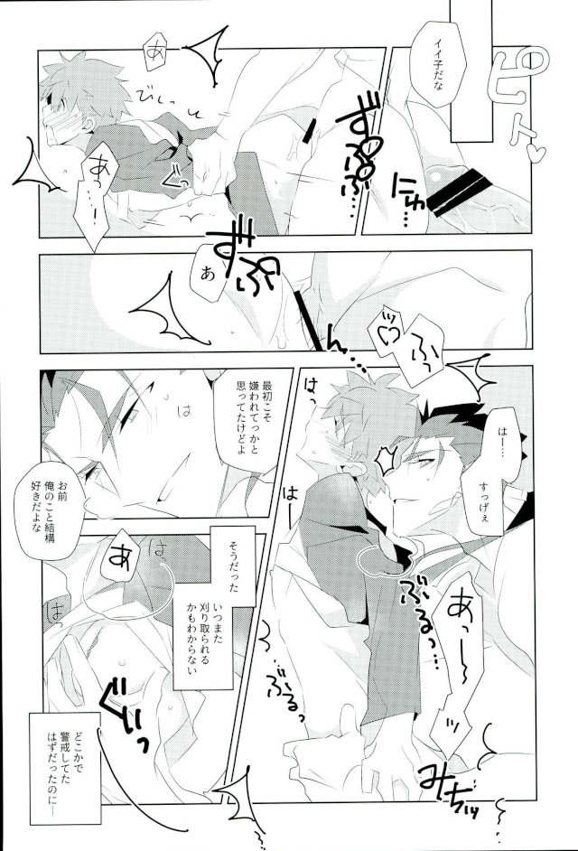 (SPARK11) [GLUTAMIC:ACID (たぬ之助)] 俺の知らない俺を全部 (Fate/stay night)