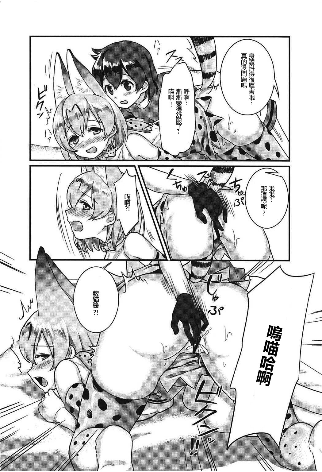 (C92) [天堂紙 (梟森)] 大好きに決まってる!! (けものフレンズ) [中国翻訳]