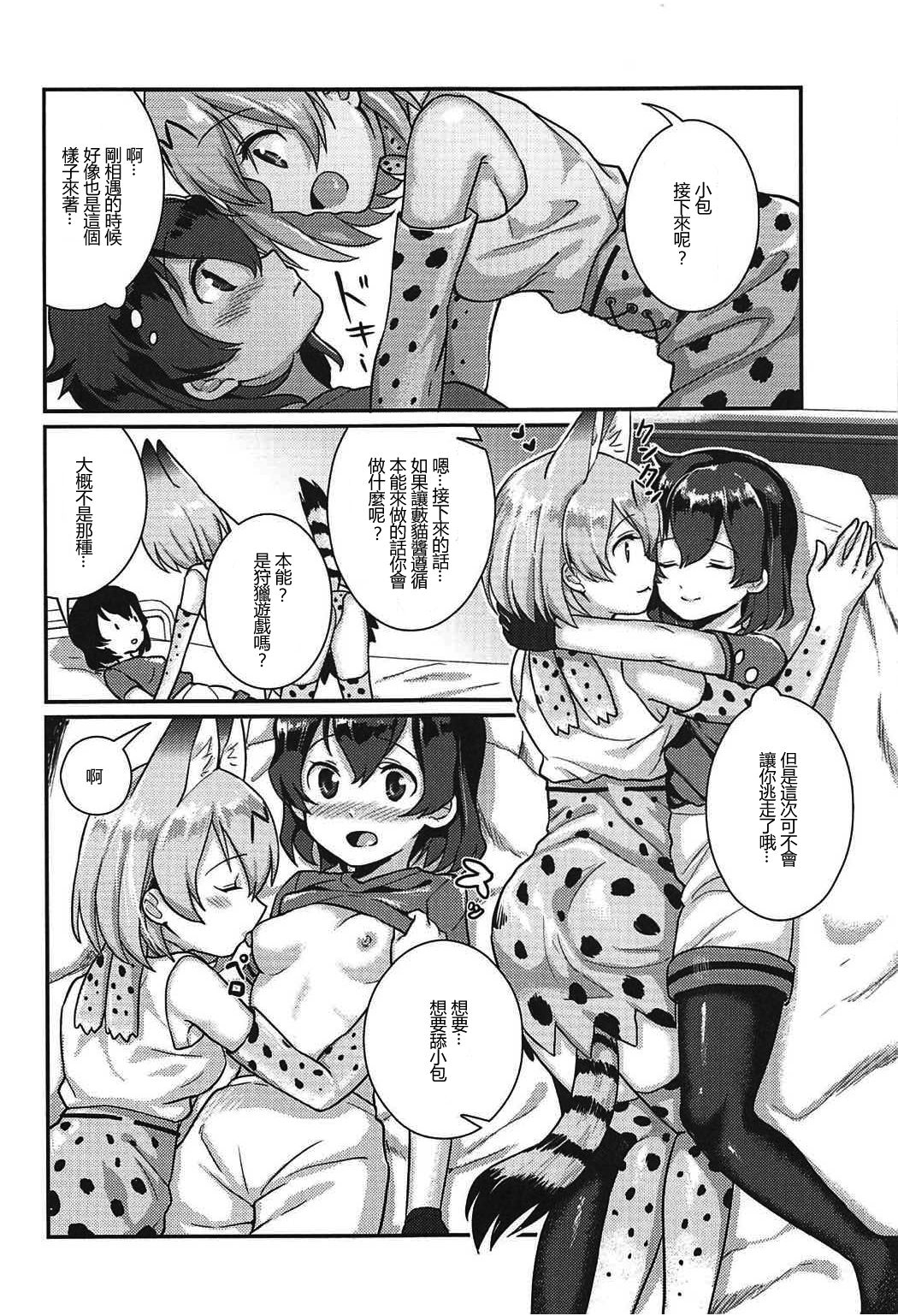 (C92) [天堂紙 (梟森)] 大好きに決まってる!! (けものフレンズ) [中国翻訳]