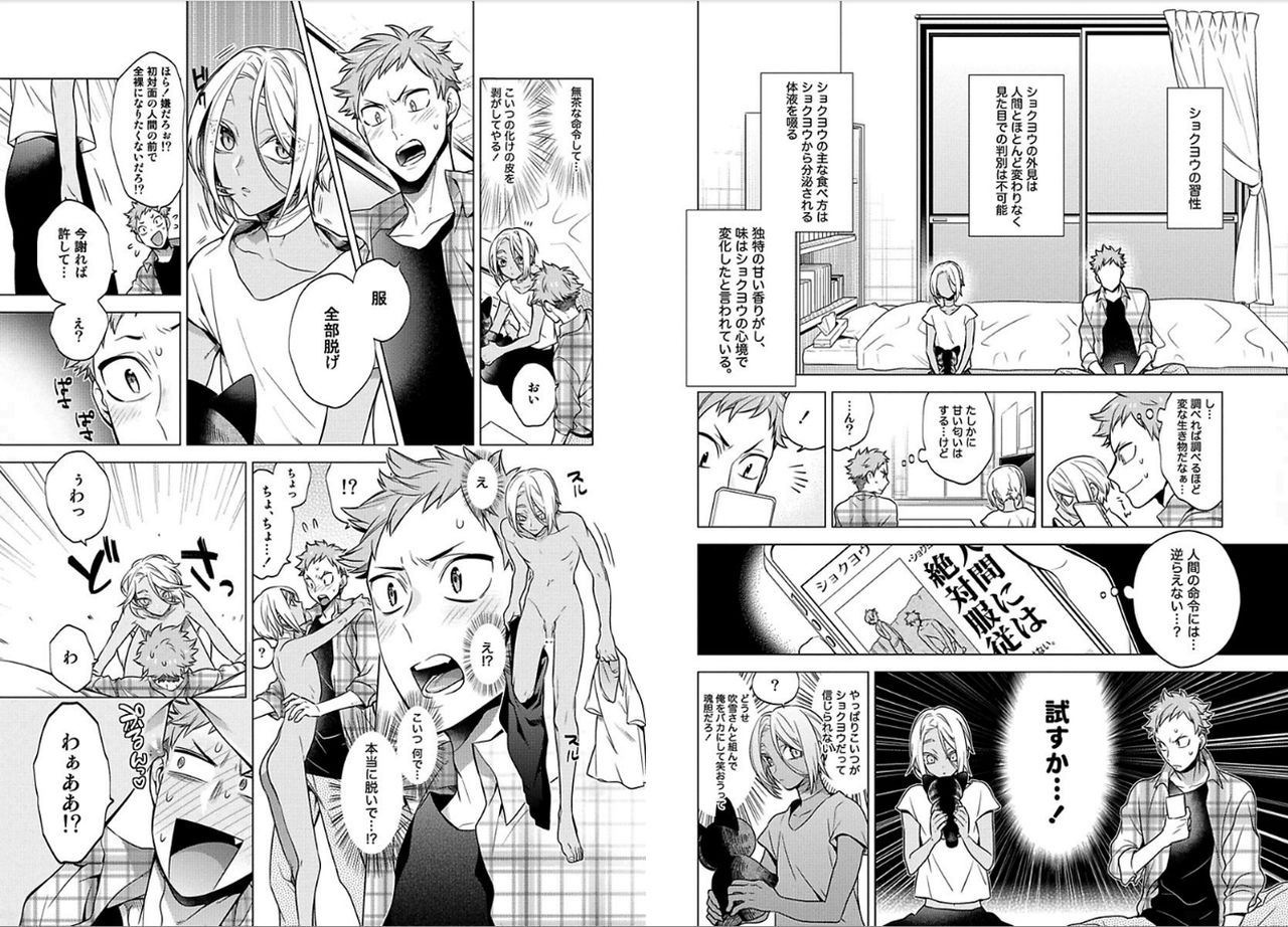 [三ツ矢凡人] シロップ