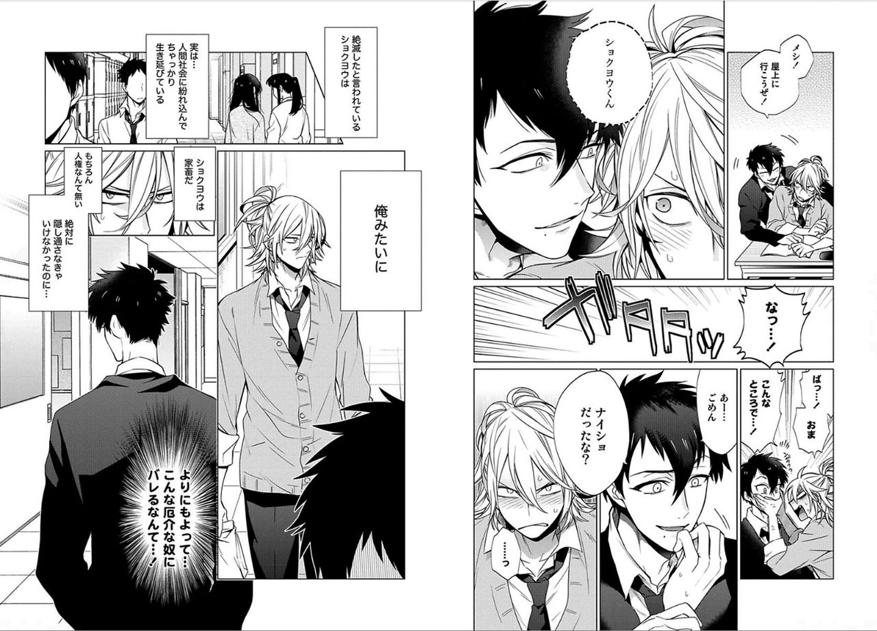 [三ツ矢凡人] シロップ