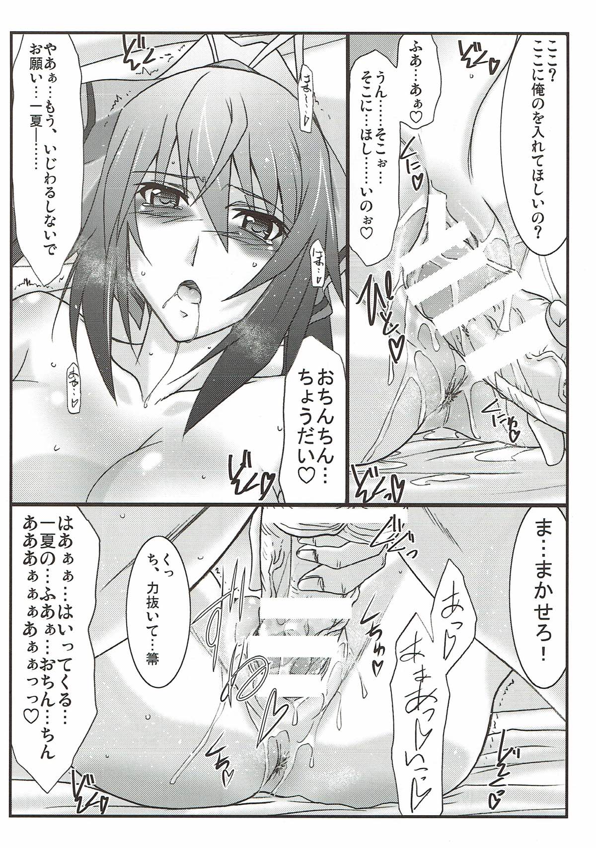 (とら祭り2015) [STUDIO TRIUMPH (むとうけいじ)] アストラルバウトSP02 (IS＜インフィニット・ストラトス＞)