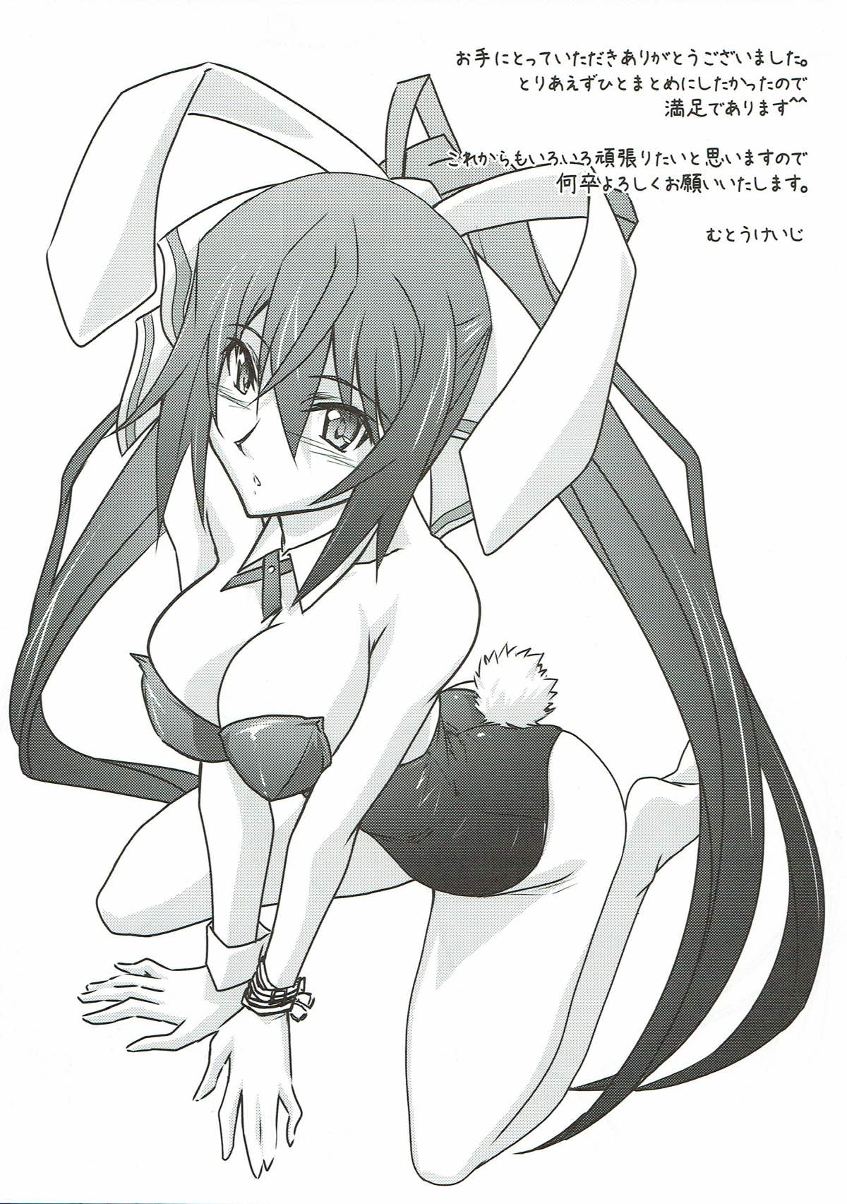 (とら祭り2015) [STUDIO TRIUMPH (むとうけいじ)] アストラルバウトSP02 (IS＜インフィニット・ストラトス＞)
