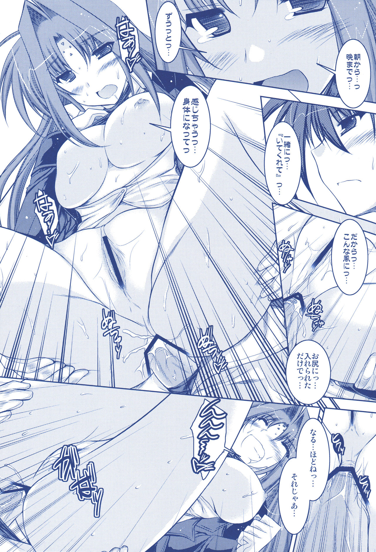 (C74) [ELHEART'S (息吹ポン)] ANOTHER FRONTIER 02 魔法少女リリカルリンディさん #03 (魔法少女リリカルなのはStrikerS)