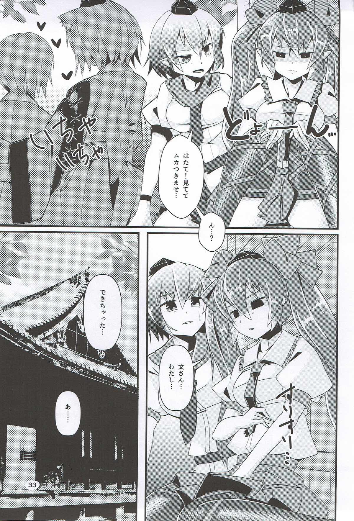 (紅楼夢9) [何かの部屋 (平)] 天狗弄り (東方Project)