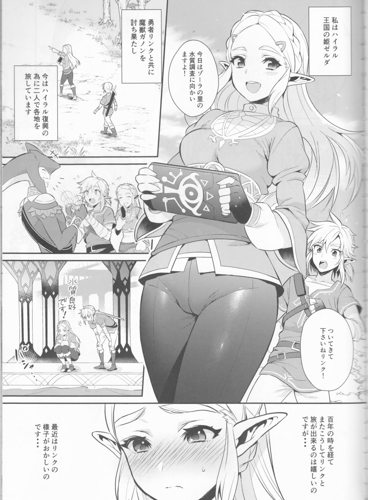 (C93) [もりっとこけ (もり苔)] ハイラル繁栄のためのかつどう! (ゼルダの伝説)