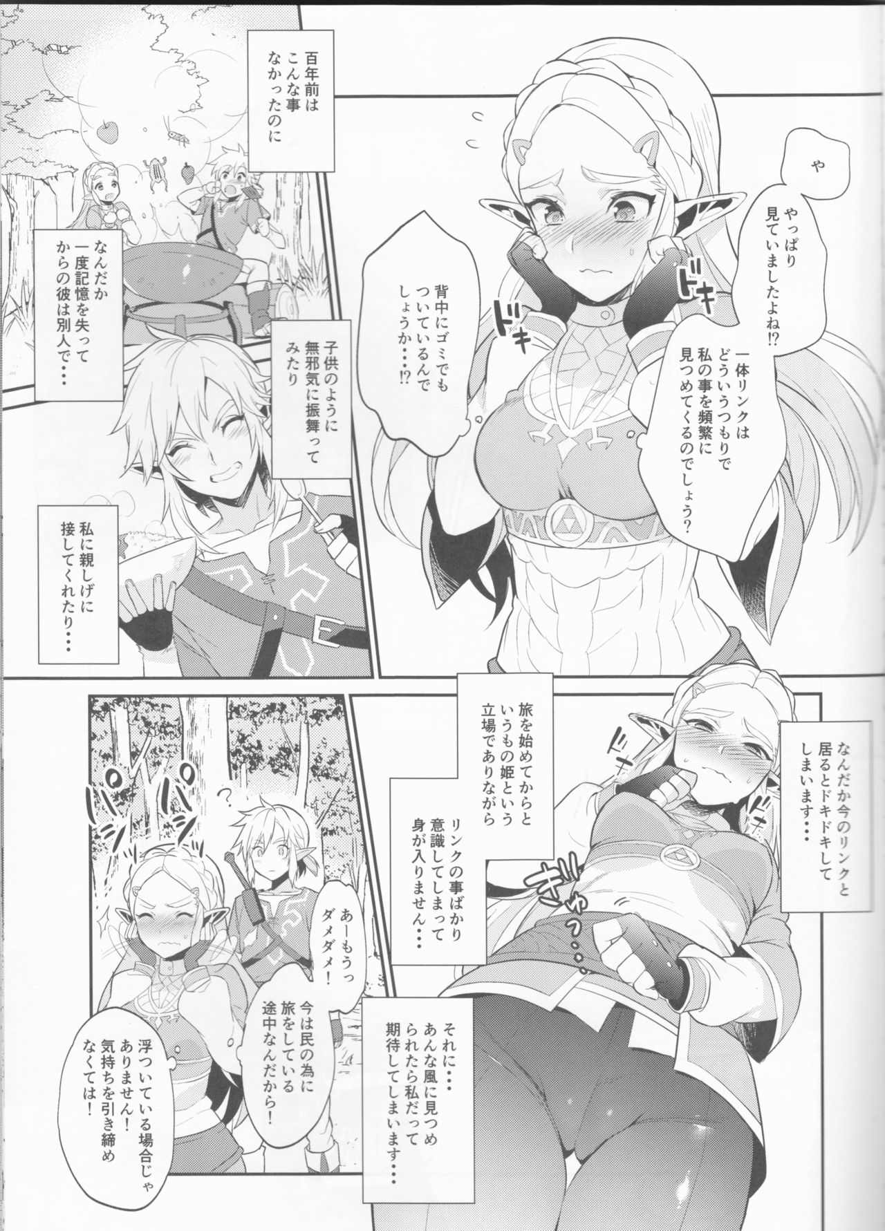 (C93) [もりっとこけ (もり苔)] ハイラル繁栄のためのかつどう! (ゼルダの伝説)