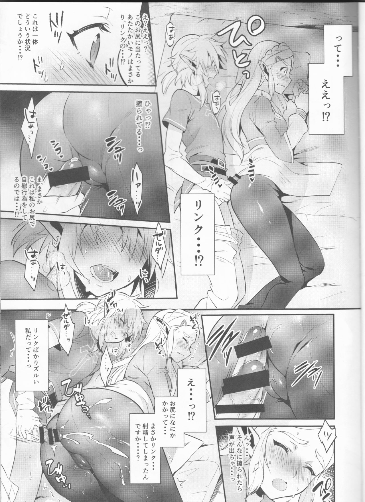 (C93) [もりっとこけ (もり苔)] ハイラル繁栄のためのかつどう! (ゼルダの伝説)