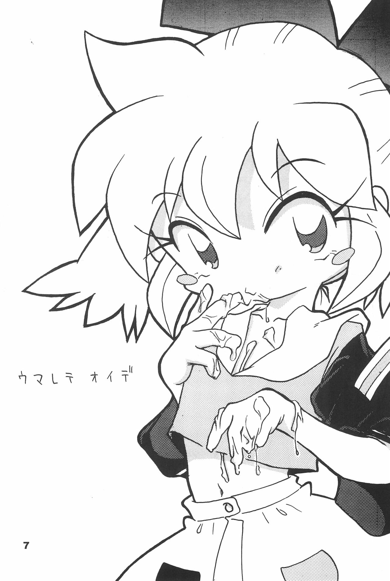 (C70) [散水社 (よねまる)] よねまる アーカイブ 2 ～きっとまた逢えるよ～ (よろず)