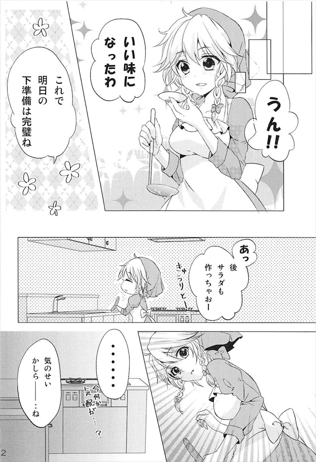 (C92) [みけ猫亭 (ミケ)] 透明人間になったので、イタズラしにいく話。 (東方Project)