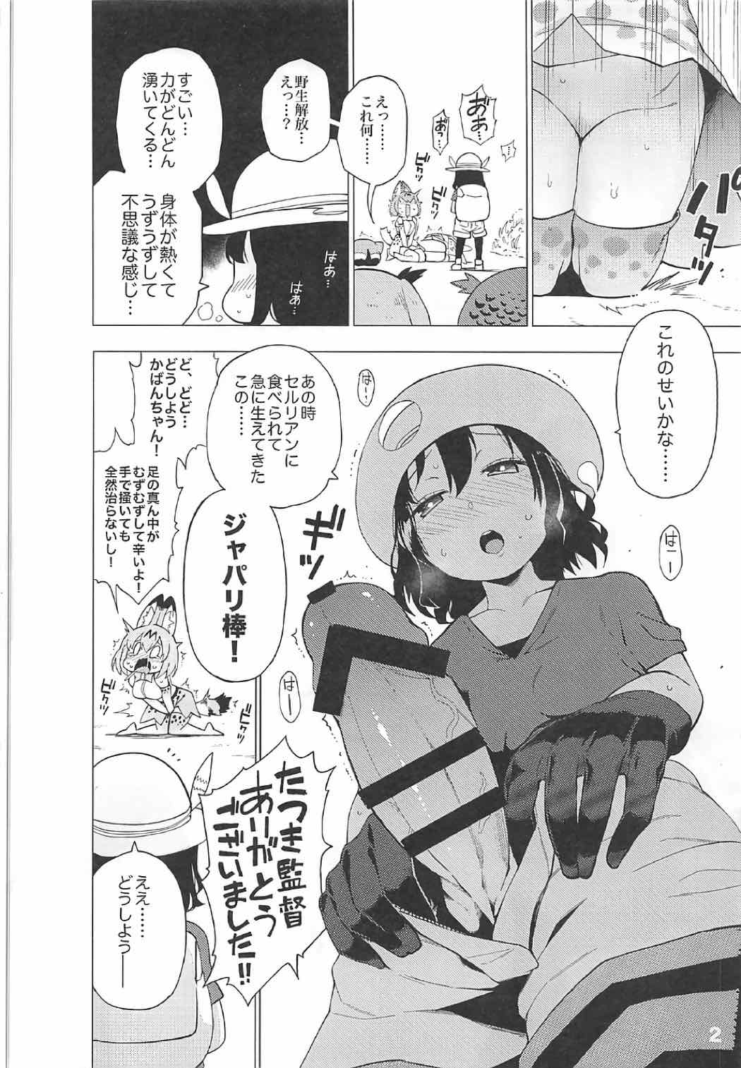 [サービスヘブン(ハヤシ)] ケダモノフレンズサプライズ (けものフレンズ)