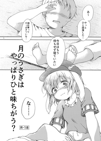 (C91) [ちきんゆにおん (ななもと)] 月のうさぎはやっぱりひと味ちがう？ (東方Project)